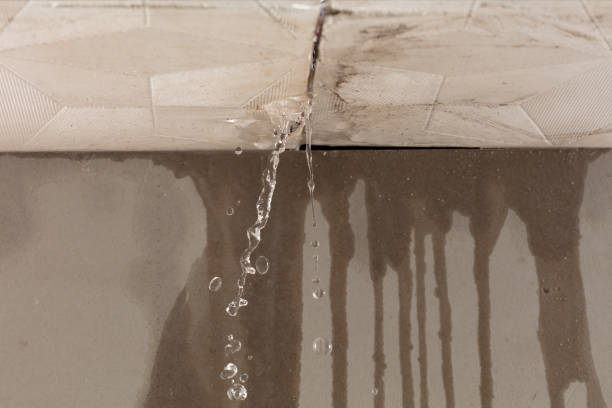 Professional Flood Damage Cleanup technician working in Euclid, OH